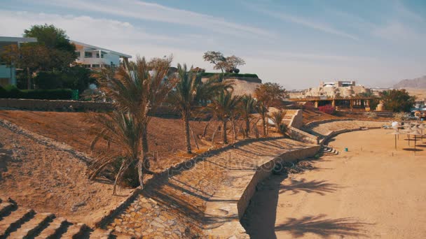 Stranden i Egypten med Palms nära hotellet på stranden — Stockvideo