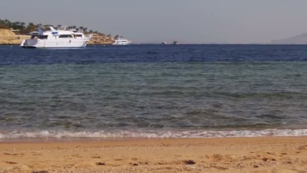 Plage en Egypte. Resort Côte de la mer Rouge — Video