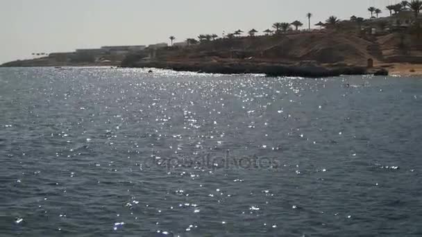 在埃及的海滩。度假村红海沿岸 — 图库视频影像