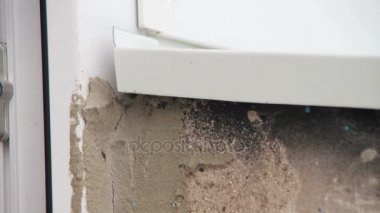 Pencere çerçeve Euro Windows yuvada Hornets.