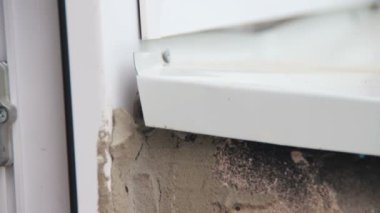 Pencere çerçeve Euro Windows yuvada Hornets.