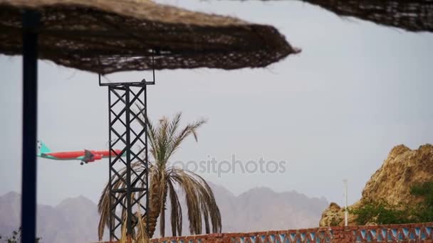 Passagerarplan i himlen landar på bakgrund av berg och palmer i Egypten. — Stockvideo