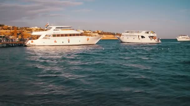 Havet kryssning Yacht simma till dockan porten i Röda havet på Sunset — Stockvideo