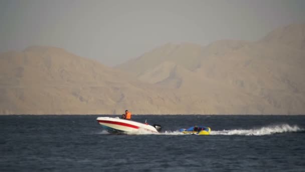 Water Extreme Bumper Tube Roulez derrière le bateau sur la mer Rouge. Mouvement lent — Video