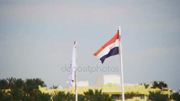 Bandeira Egípcia Fluttering no vento na praia em câmera lenta — Vídeo de Stock