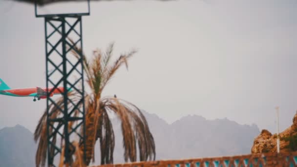 Avión de pasajeros en el cielo Aterrizando en el fondo de las montañas y palmeras en Egipto . — Vídeos de Stock