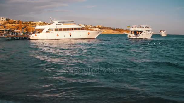 Havet kryssning Yacht simma till dockan porten i Röda havet på Sunset — Stockvideo