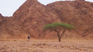 Kadın kameraman ile Tripod Mısır çöl.