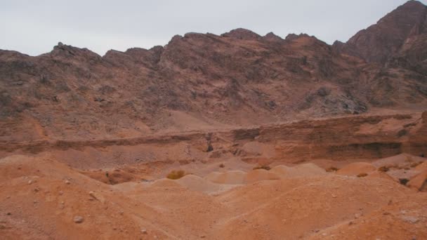 Désert en Egypte, sable et montagnes — Video