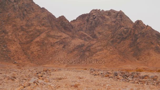 Woestijn in Egypte, zand en bergen — Stockvideo