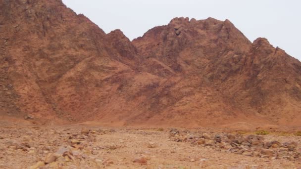 Desert in Egypt, Sand and Mountains — Stock Video