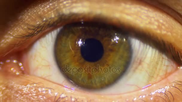 Menschliches Auge blickt und blinzelt — Stockvideo