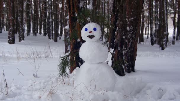 Boneco de neve em uma floresta de pinheiro em pé ao ar livre — Vídeo de Stock