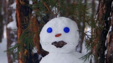 Kardanadam karla kaplı Noel ağaçları ile ayakta bir çam ormanı içinde yüzü