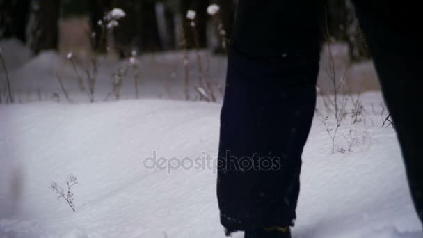 Mann läuft an einem verschneiten Tag im Tiefschnee im Winterwald. Zeitlupe — Stockvideo