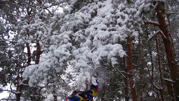 Neve che cade dalle ramificazioni innevate dell'albero di Natale nel giorno d'inverno. Rallentatore — Video Stock
