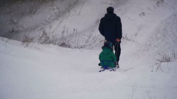 L'homme tire une fille traîneau dans la forêt d'hiver — Video