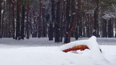 Karla kaplı ahşap günlüğüyle kış çam ormanının arka plan