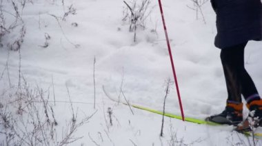 Kayakçı kış ormanda binmek