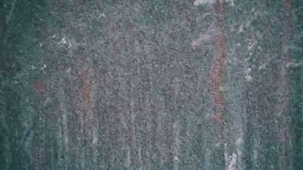 Kar yağışı karlı Noel ağaçları kış çam ormanı. Ağır çekim — Stok video