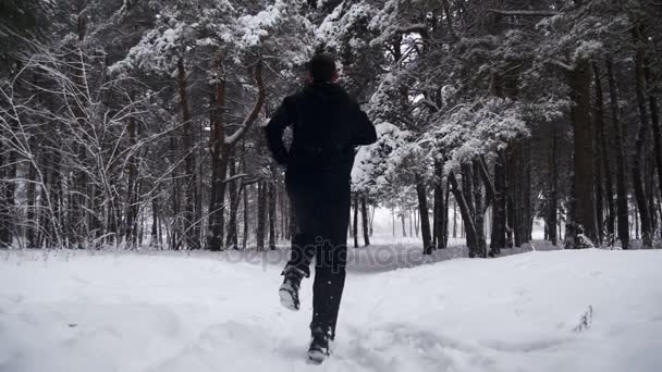 Jogging dans la forêt d'hiver. Mouvement lent — Video