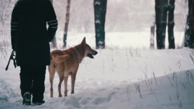 Kadın ile köpek kış ormanda yürüyüş. Ağır çekim