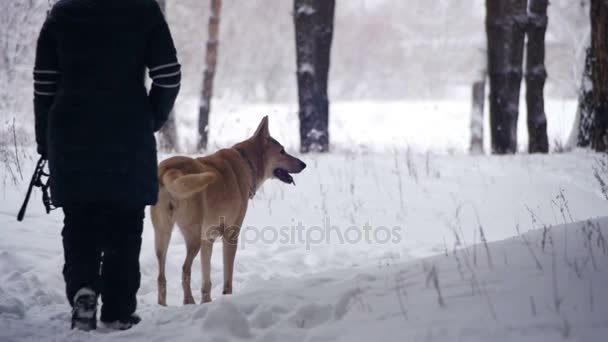 Mujer con perro paseando en el bosque de invierno. Moción lenta — Vídeo de stock