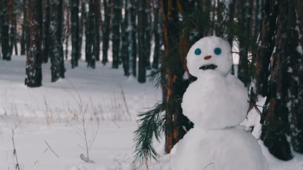 Muñeco de nieve en un bosque de pinos de pie al aire libre — Vídeo de stock