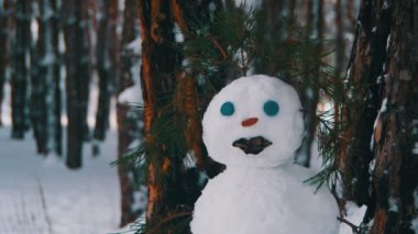 Kardan adam açık havada duran bir çam ormanı içinde yüz