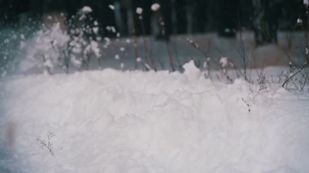 Man Walking in the Deep Snow in the Winter Forest at Snowy Day. Slow Motion — Stock Video