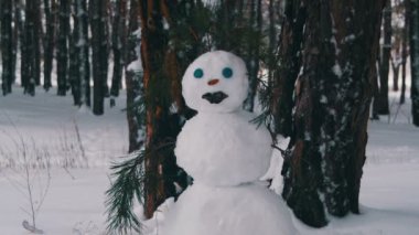 Kardan adam açık havada duran bir çam ormanı içinde