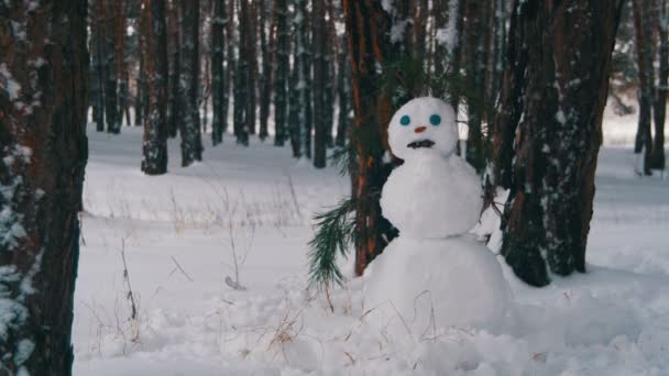 Bonhomme de neige dans une forêt de pins debout à l'extérieur — Video