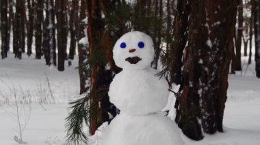 Kardan adam açık havada duran bir çam ormanı içinde