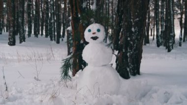 Kardan adam açık havada duran bir çam ormanı içinde