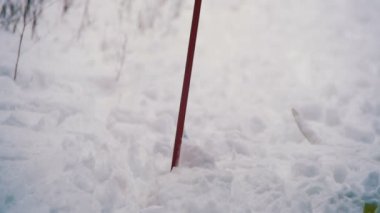Kayakçı kış ormanda binmek