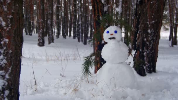 Muñeco de nieve en un bosque de pinos de pie al aire libre — Vídeos de Stock