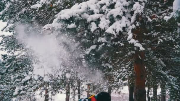 男は実行され、冬の森の雪に覆われた枝と雪がスローされます。スローモーション — ストック動画