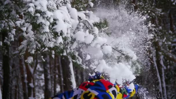 男は実行され、冬の森の雪に覆われた枝と雪がスローされます。スローモーション — ストック動画