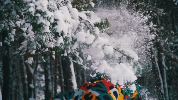 男は実行され、冬の森の雪に覆われた枝と雪がスローされます。スローモーション — ストック動画