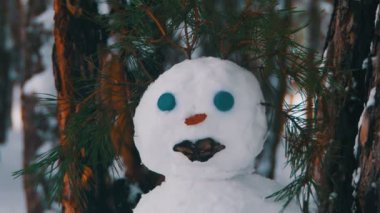 Kardanadam karla kaplı Noel ağaçları ile ayakta bir çam ormanı içinde yüzü