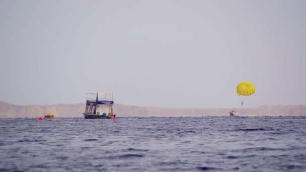 Parasailing, parasailing atrás de um barco — Vídeo de Stock
