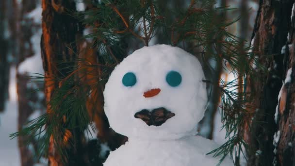 Cara de muñeco de nieve en un bosque de pinos de pie con árboles de Navidad cubiertos de nieve — Vídeos de Stock