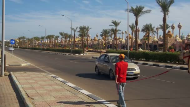Egipcio con camello ir a lo largo de la carretera en un lugar turístico cerca del mercado — Vídeos de Stock
