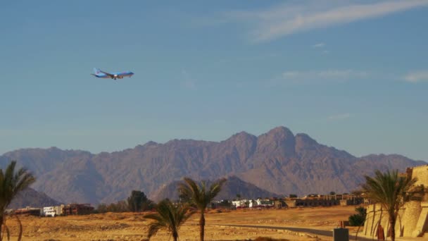 Avión de pasajeros en el cielo Aterrizando en el fondo de las montañas y palmeras en Egipto . — Vídeo de stock