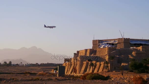 空山、エジプトのヤシの木のバック グラウンドに着陸旅客機. — ストック動画