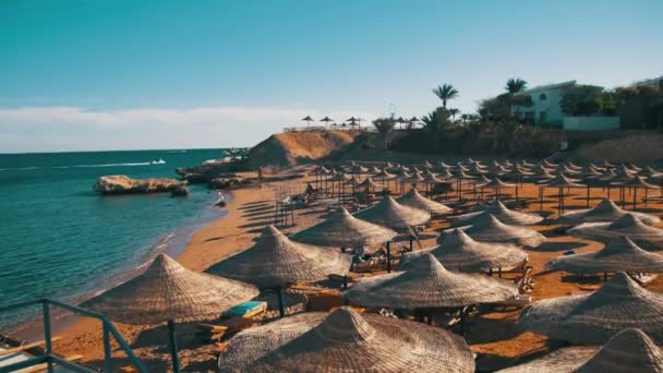 Пляжні парасольки і шезлонги в Єгипту на узбережжі Червоного моря — стокове відео