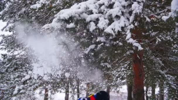 Homem corre e joga a neve com ramos cobertos de neve na floresta de inverno. Movimento lento — Vídeo de Stock