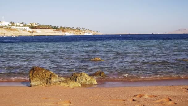 エジプトのビーチ。リゾート紅海沿岸 — ストック動画