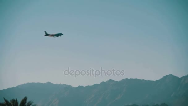 客机降落在山和棕榈树在埃及背景天空中。慢动作 — 图库视频影像