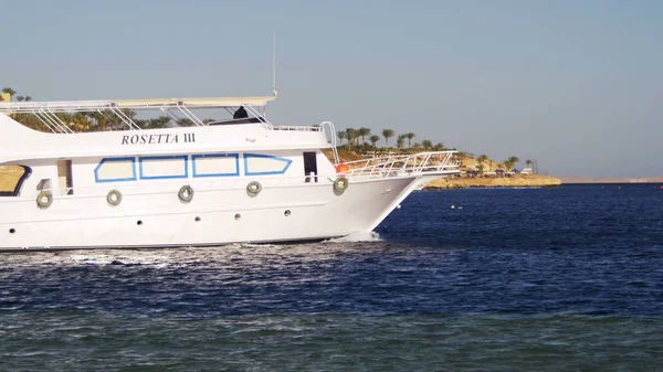 Gemi yüzer Red Sea'deki/daki cruise